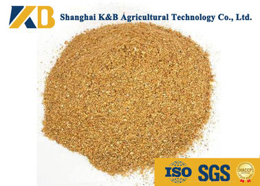 Certificado sano del polvo ISO HACCP de la proteína del maíz del grado de la alimentación para el forraje