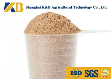 Perfil equilibrado del aminoácido de los productos del polvo del arroz moreno del OEM/del pienso